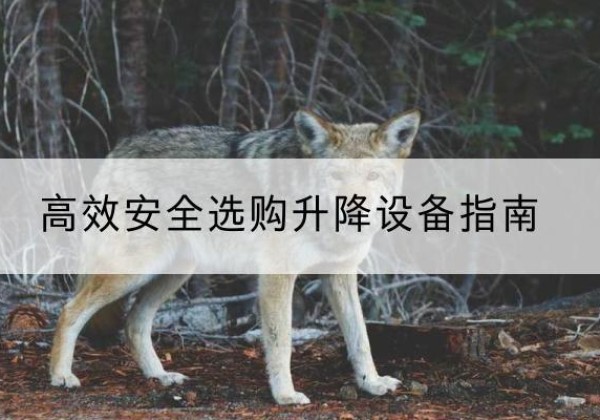 神木升降货梯厂家推荐-*安全选购升降设备指南