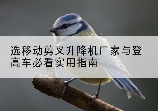 神木电动升降机厂家-选移动剪叉升降机厂家与登高车必看实用指南