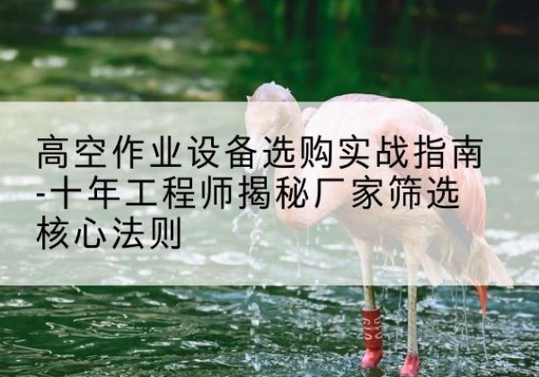 神木剪叉式升降机厂家-高空作业设备选购实战指南-十年工程师揭秘厂家筛选核心法则